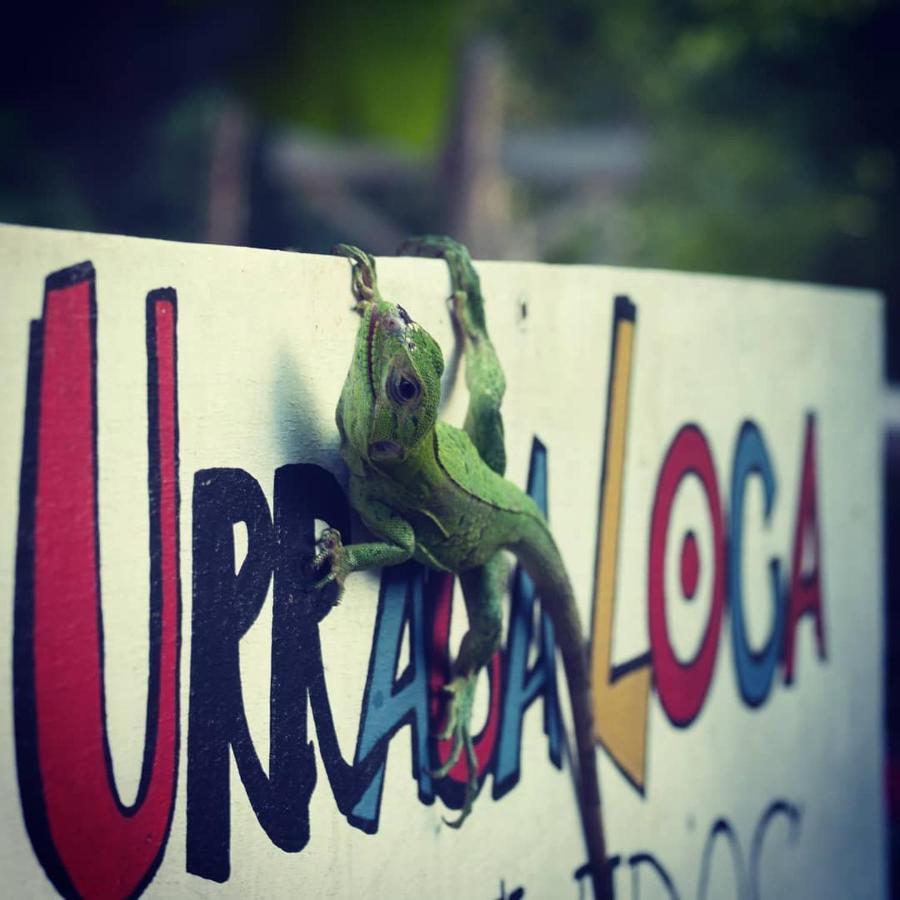 Balgue La Urraca Loca Hostel מראה חיצוני תמונה